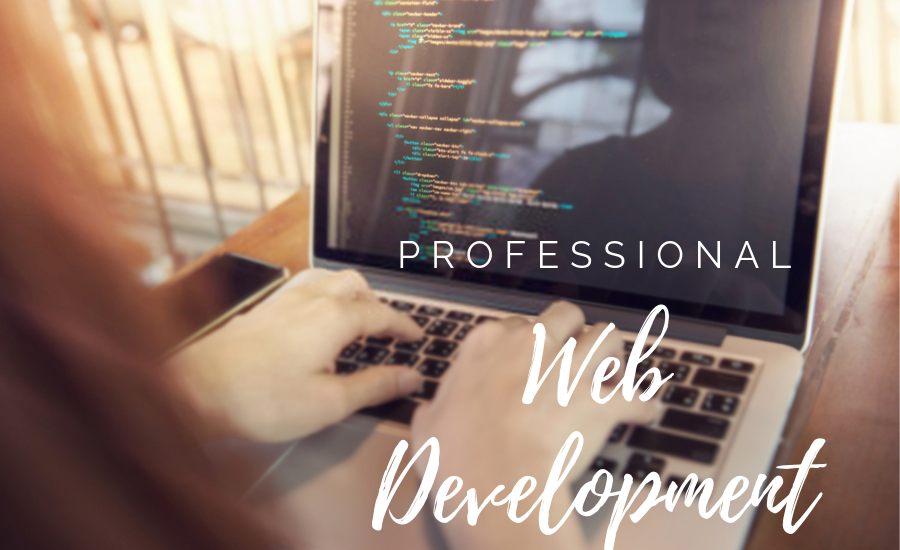 Hiring a Professional Web Development Company in Ahmedabad