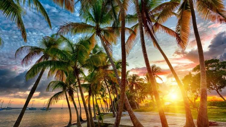 Autumn Lawn Care in Miami