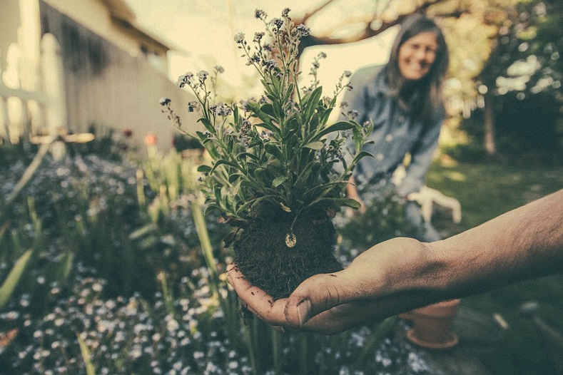 9 Gardening Trends That You Would Like to Embrace in 2021