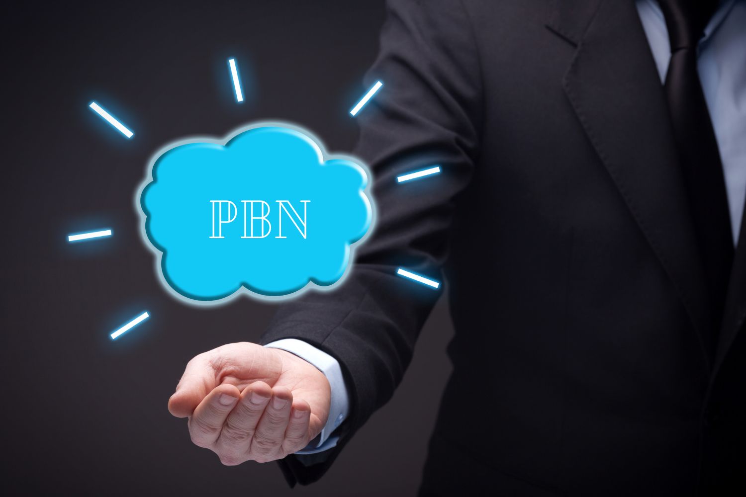 PBN hosting and services