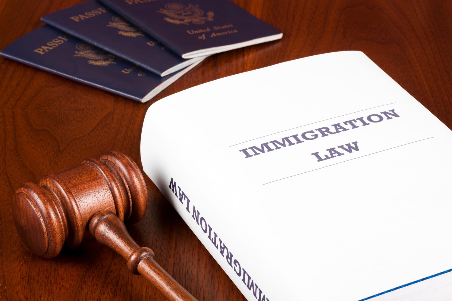 Some Top Tips for Choosing an Immigrant Law Firm