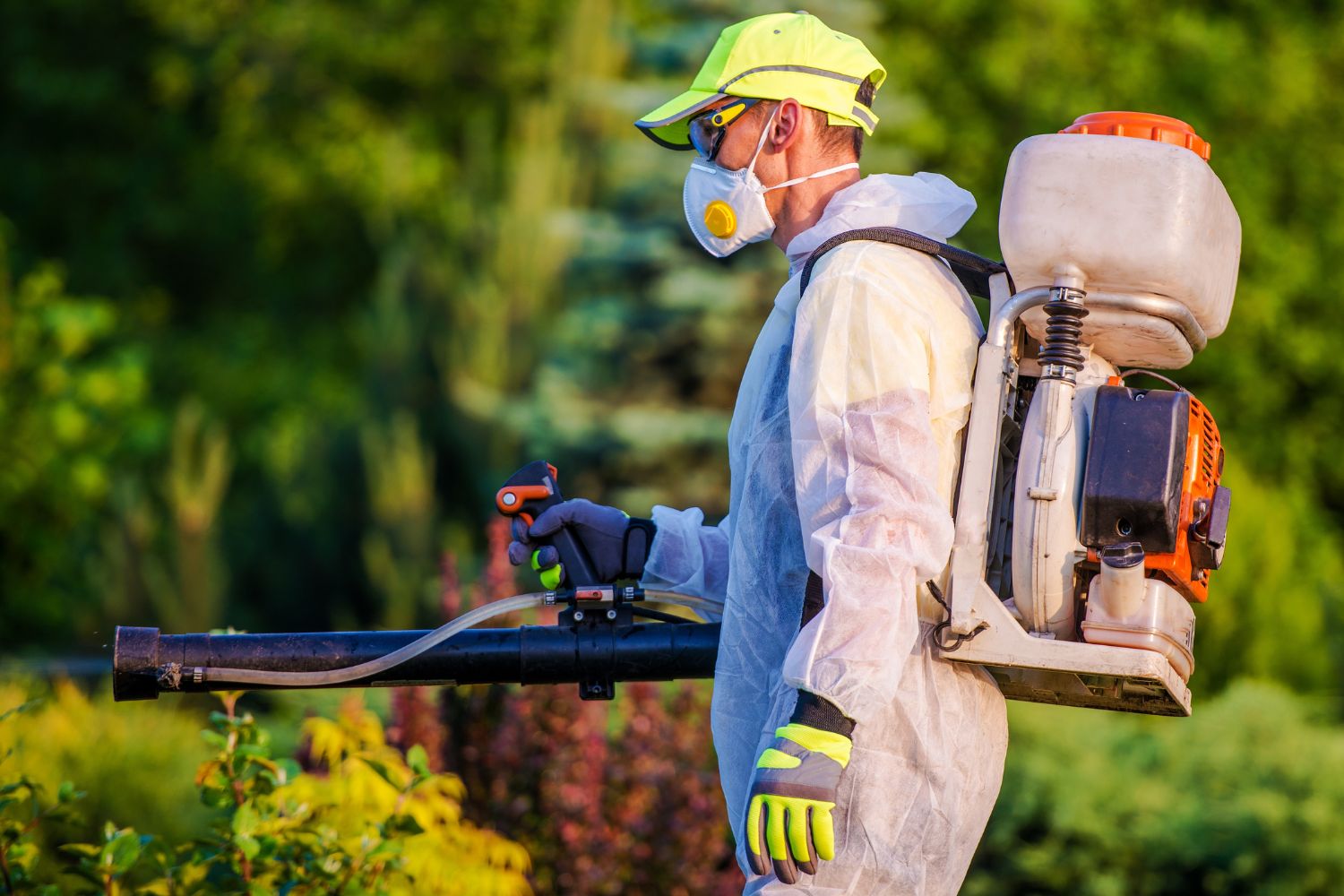 Learn what you can do to prevent Pest Control Services