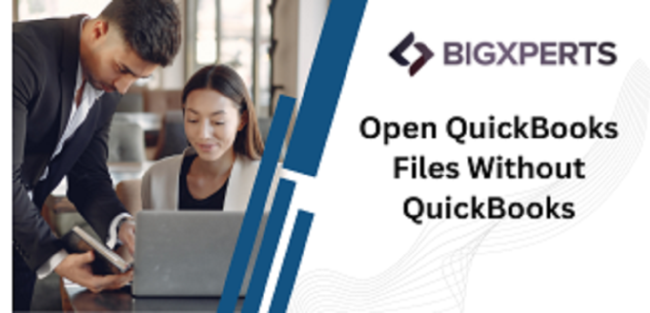 QBW Files without QuickBooks: Viewing and Extracting
