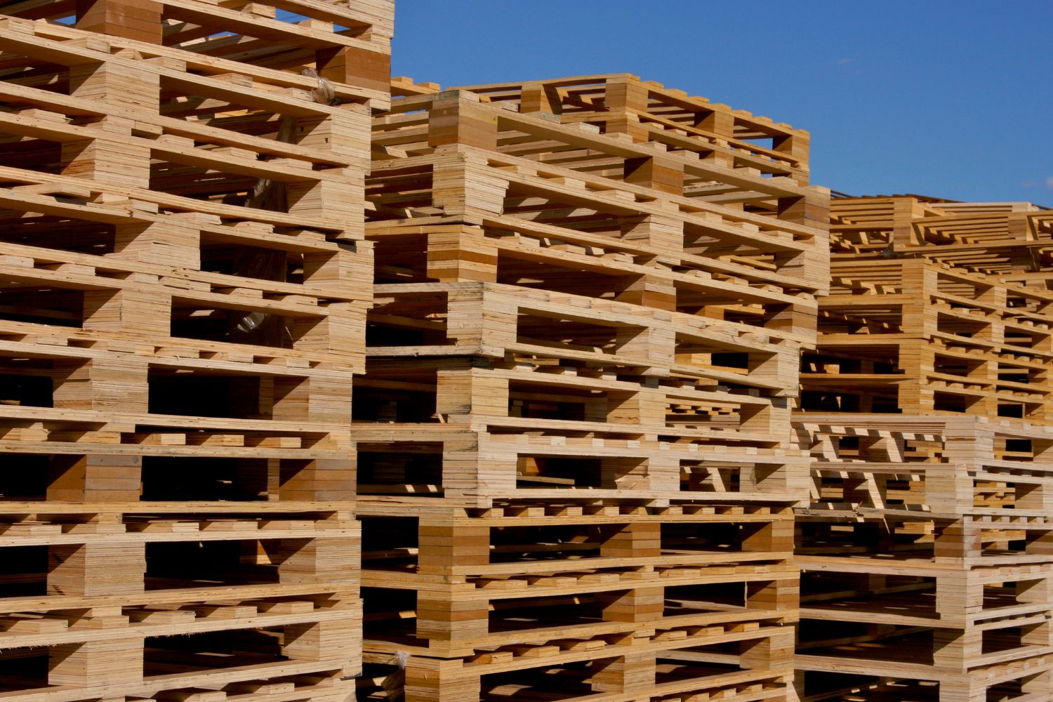 Reasons Why Timber or Wooden Pallets Are Still So Popular