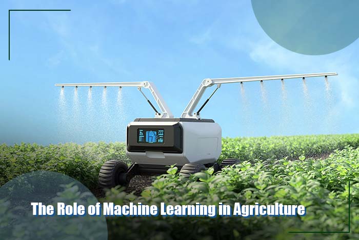 The Role of Machine Learning in Agriculture The Role of Machine Learning in Agriculture