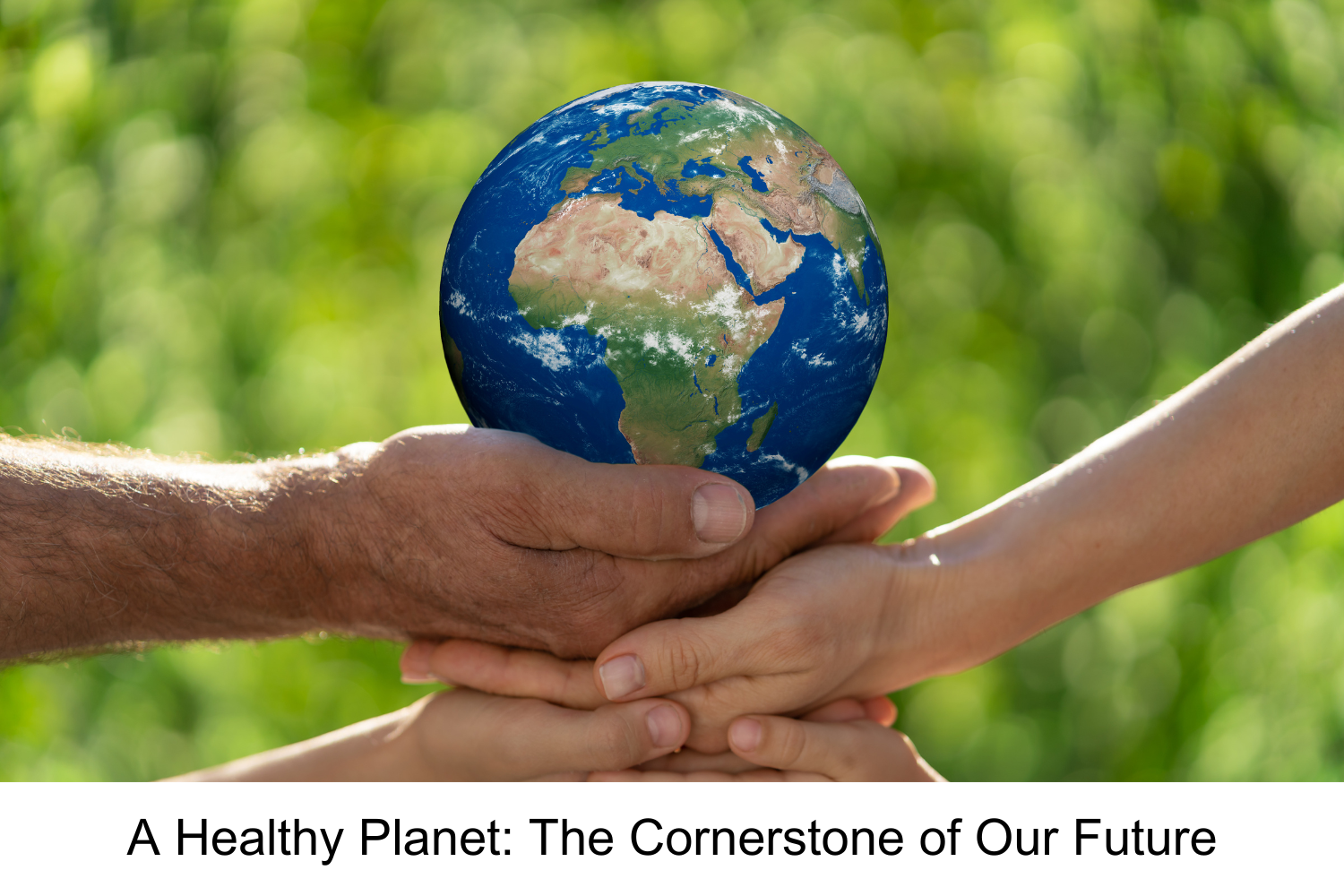 A Healthy Planet: The Cornerstone of Our Future A Healthy Planet: The Cornerstone of Our Future